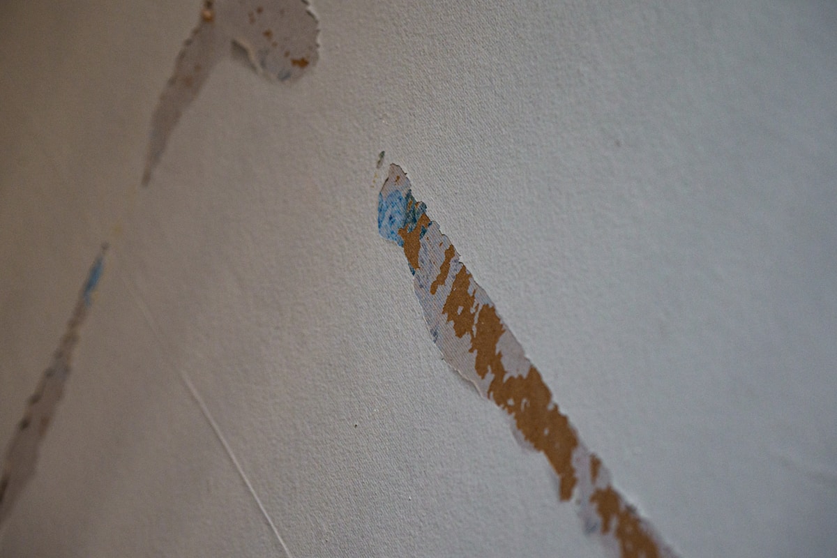 Mold Remediation service in York, PA